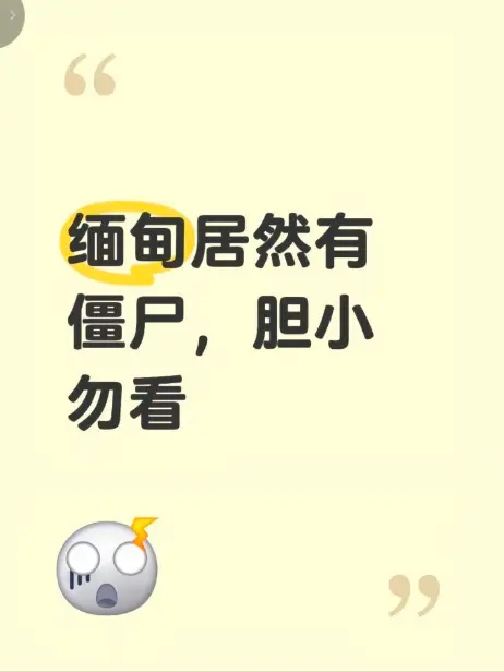 缅甸僵尸出土事件视频全集高清在线观看 - 《缅甸僵尸出土事件》无删减完整版免费播放揭秘真相