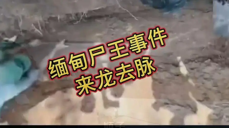 《缅甸僵尸出土事件视频》高清完整版在线观看免费播放 - 缅北僵尸出土事件始末原视频超清下载 - 诡异真相解密全程录像无删减