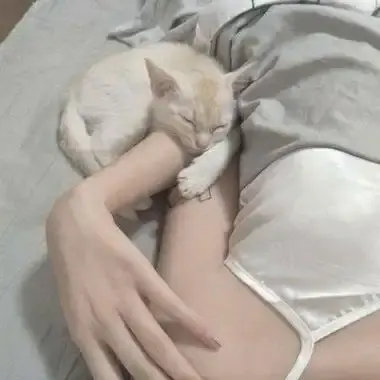 《森泽佳奈》高清全集未删减中文版免费在线看无广告-森泽佳奈年度现象级作品全集珍藏版-1080P蓝光无水印百度网盘夸克迅雷高速下载